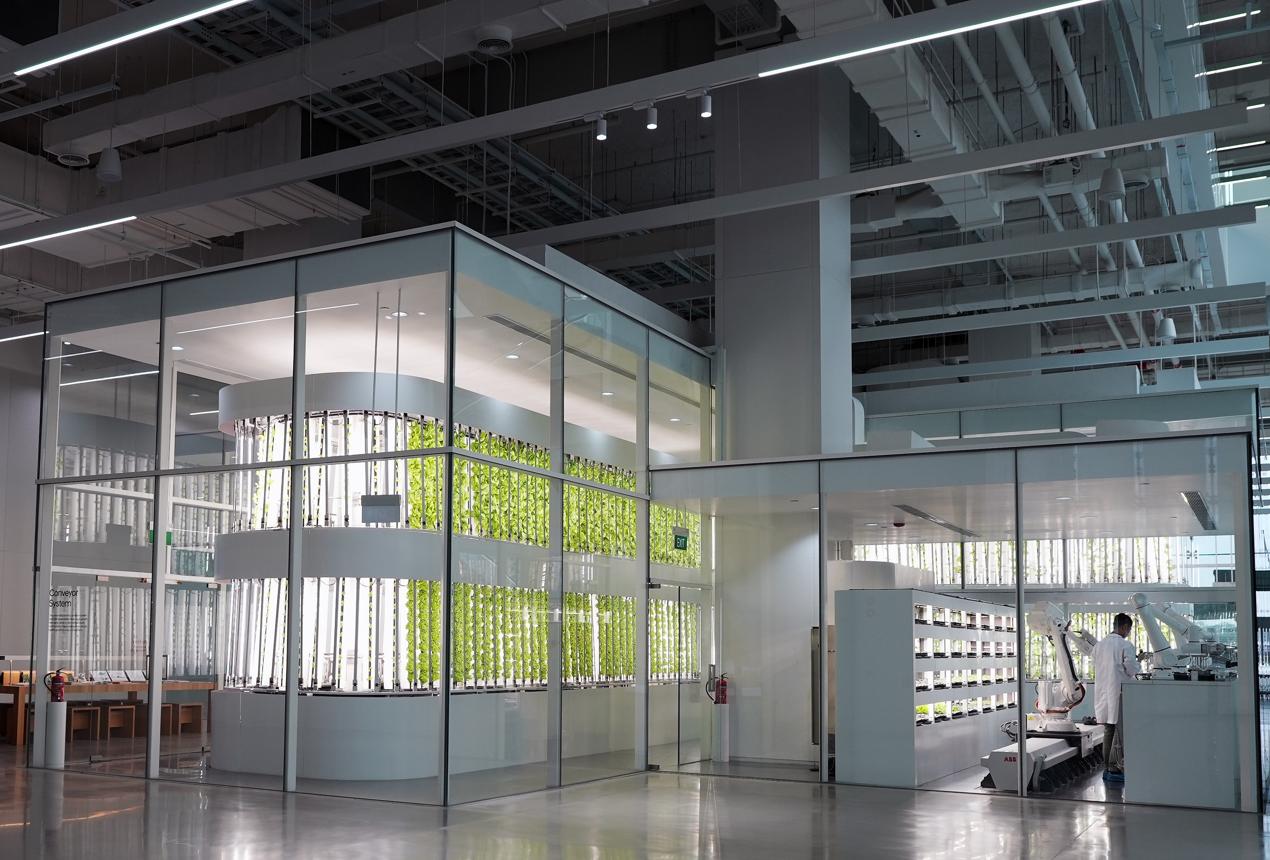 Vertical farming and automated production